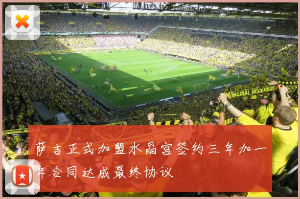 萨吉正式加盟水晶宫签约三年加一年合同达成最终协议